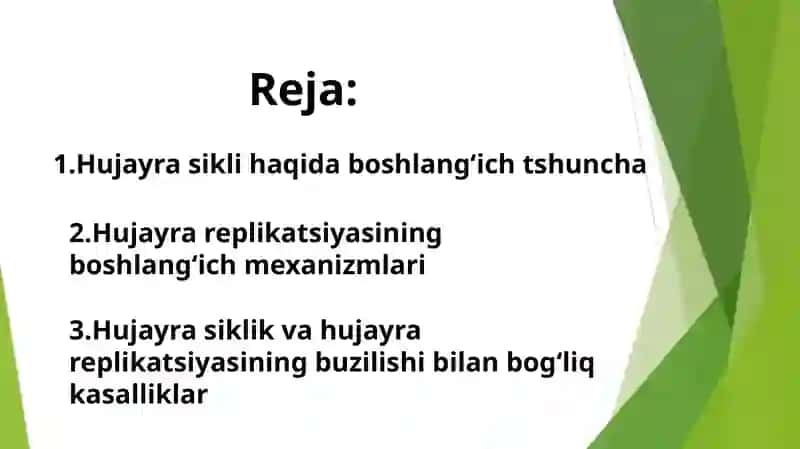 Hujayra sikli va hujayra replikatsiyasi boshqaruv mexanizmlari 3