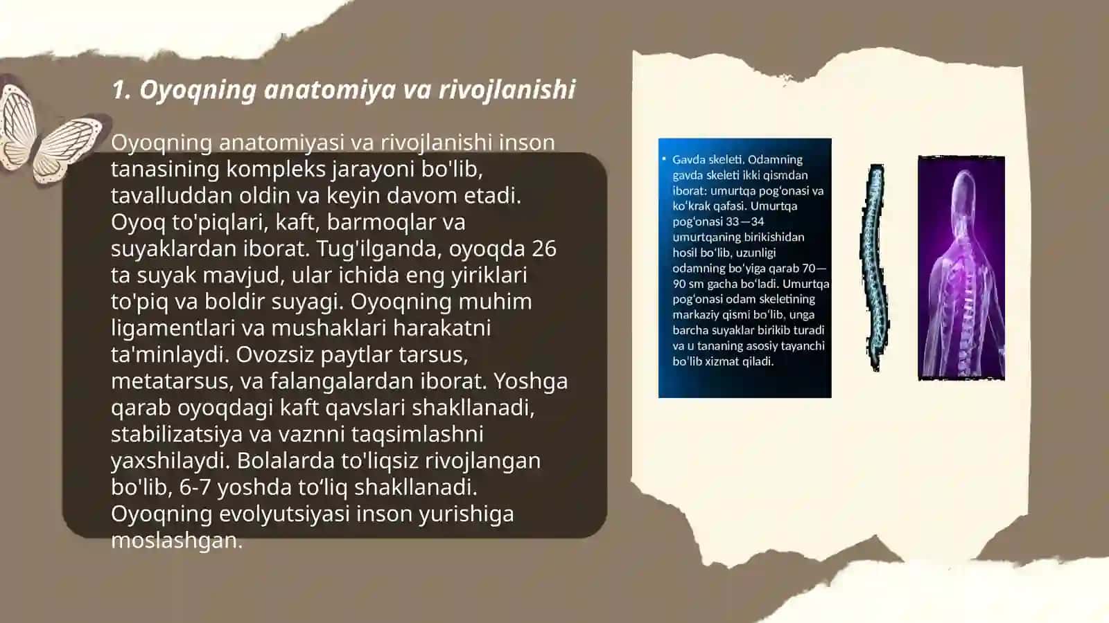 Chanoq va oyoq suyaklarining yoshga nisbatan xusisiyatlari 3