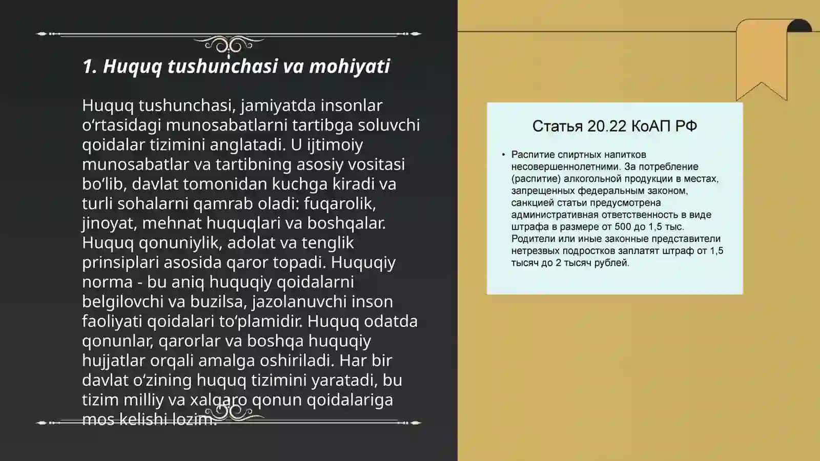 Huquq va erkinliklar kafolatlarining tizimi 3