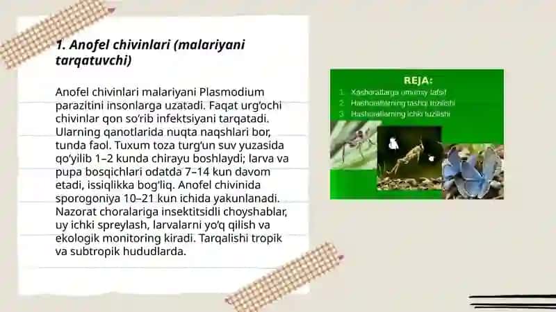 Anofel chivinlari (malariyani tarqatuvchi) 3