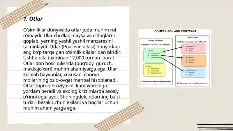 Ona tili fanidan morfologik tahlil namunasi 3
