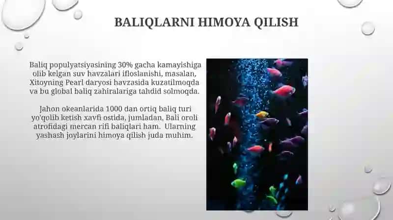 Baliqlar 3
