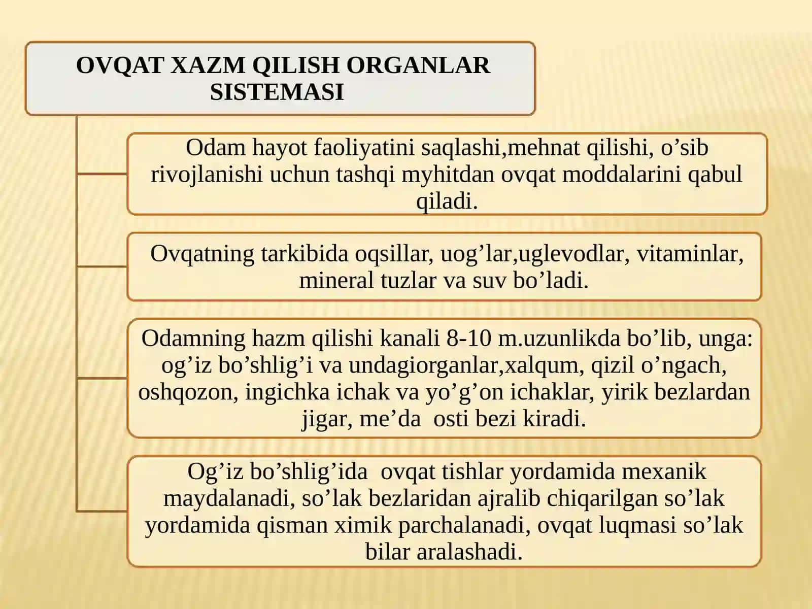 Ovqat xazm qilish tizimining yosh xususiyatlari va ovqatlanish gigienasi 3