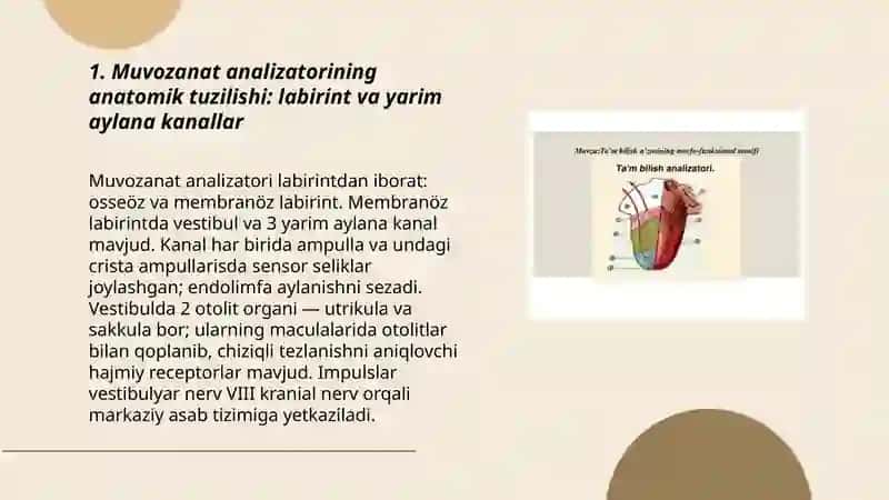 Muvozanat analizatorining tuzilishi va funksiyalari 3
