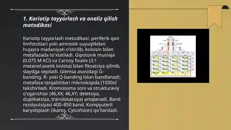 Odam genetikasi metodlari: Sitogenetik metod 3