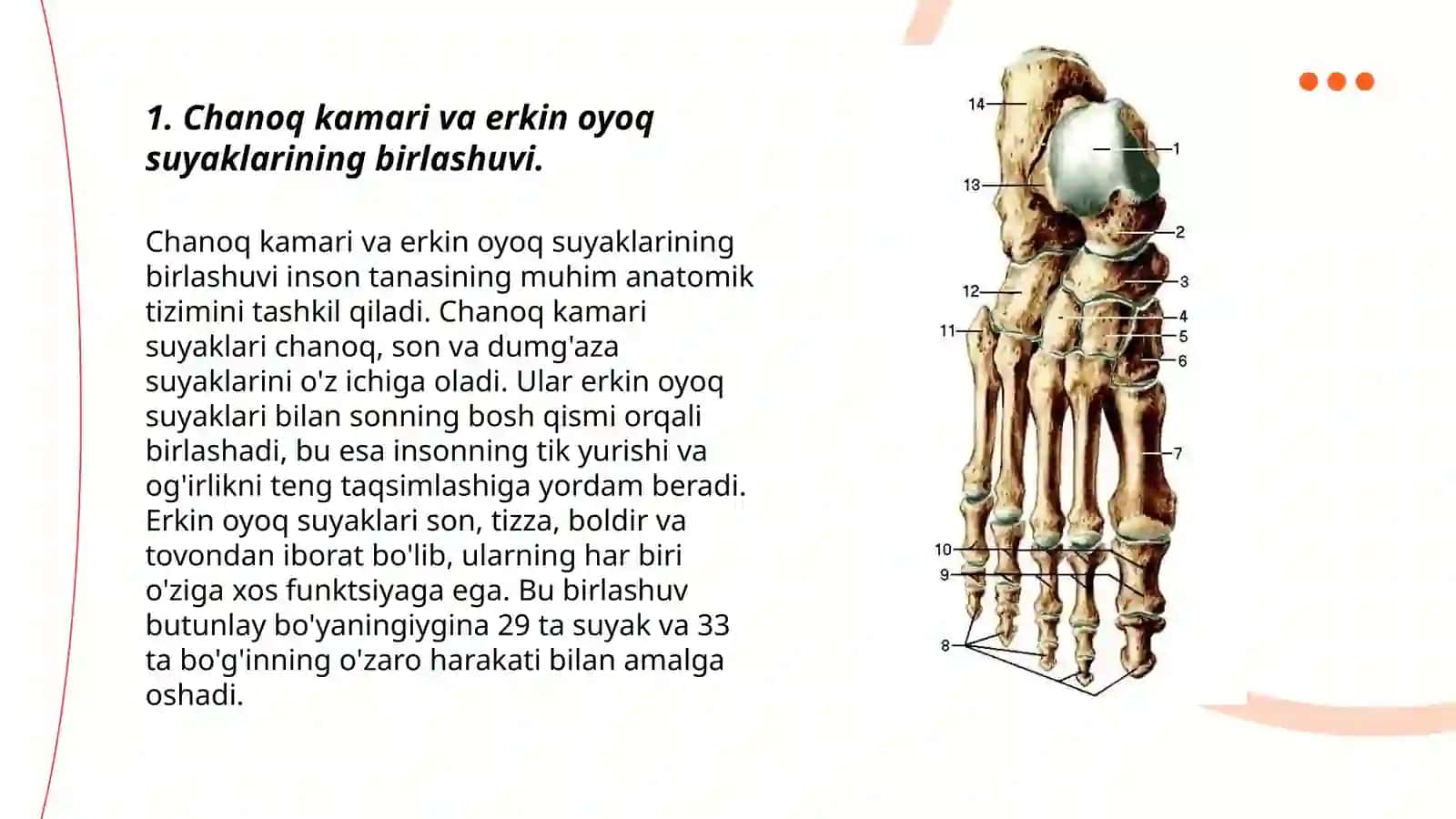 Chanoq kamari va erkin oyoq suyaklarining birlashuvi 3