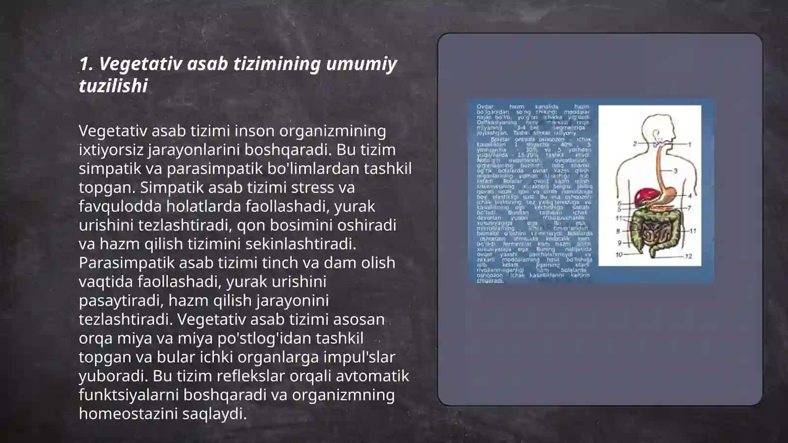 Vegitativ asab sistemasini o‘rganish 3