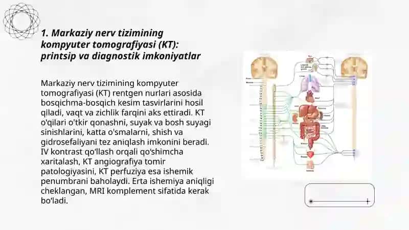 Markaziy nerv sistemasi tibbiy vizualizasiyasi 3