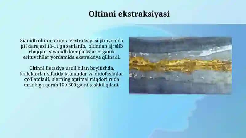 Oltin-margimushli va Oltin-misli rudalarni boyitish 3