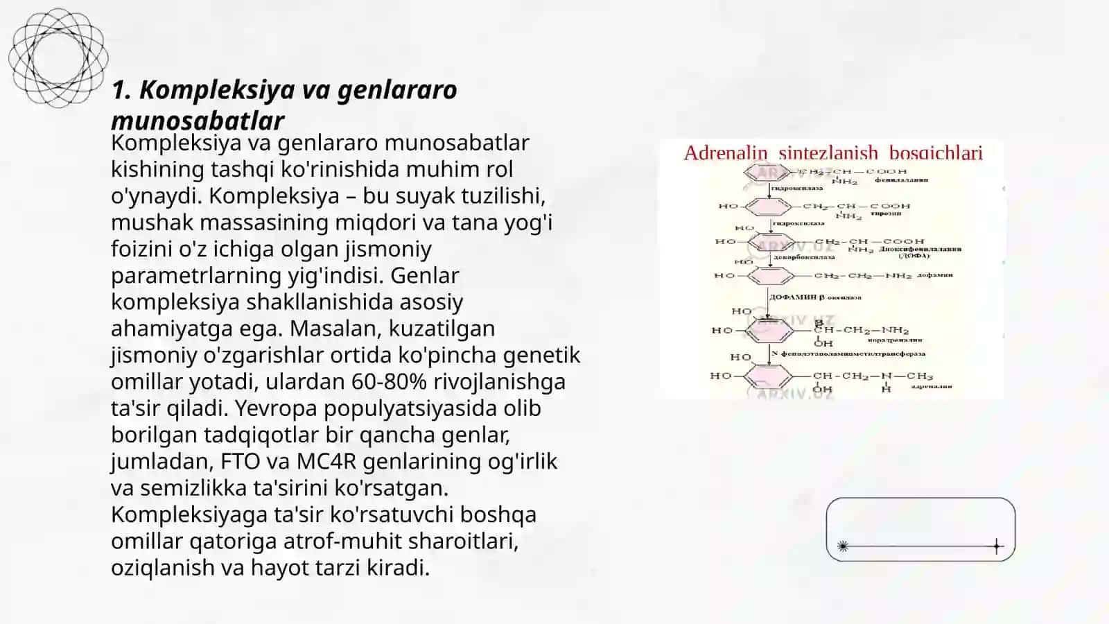 Kompleksiya va genlararo munosabatlar 3