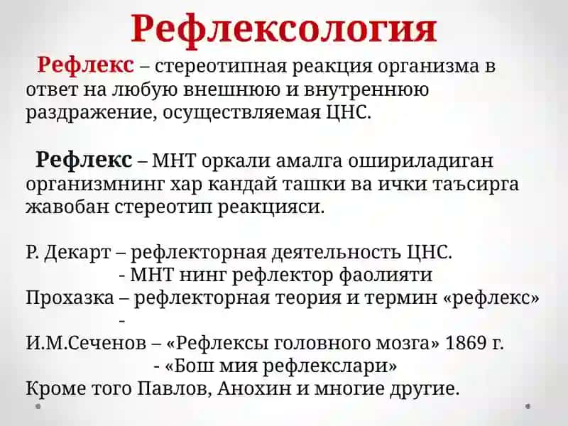МНТ функциялари. Рефлексология 3