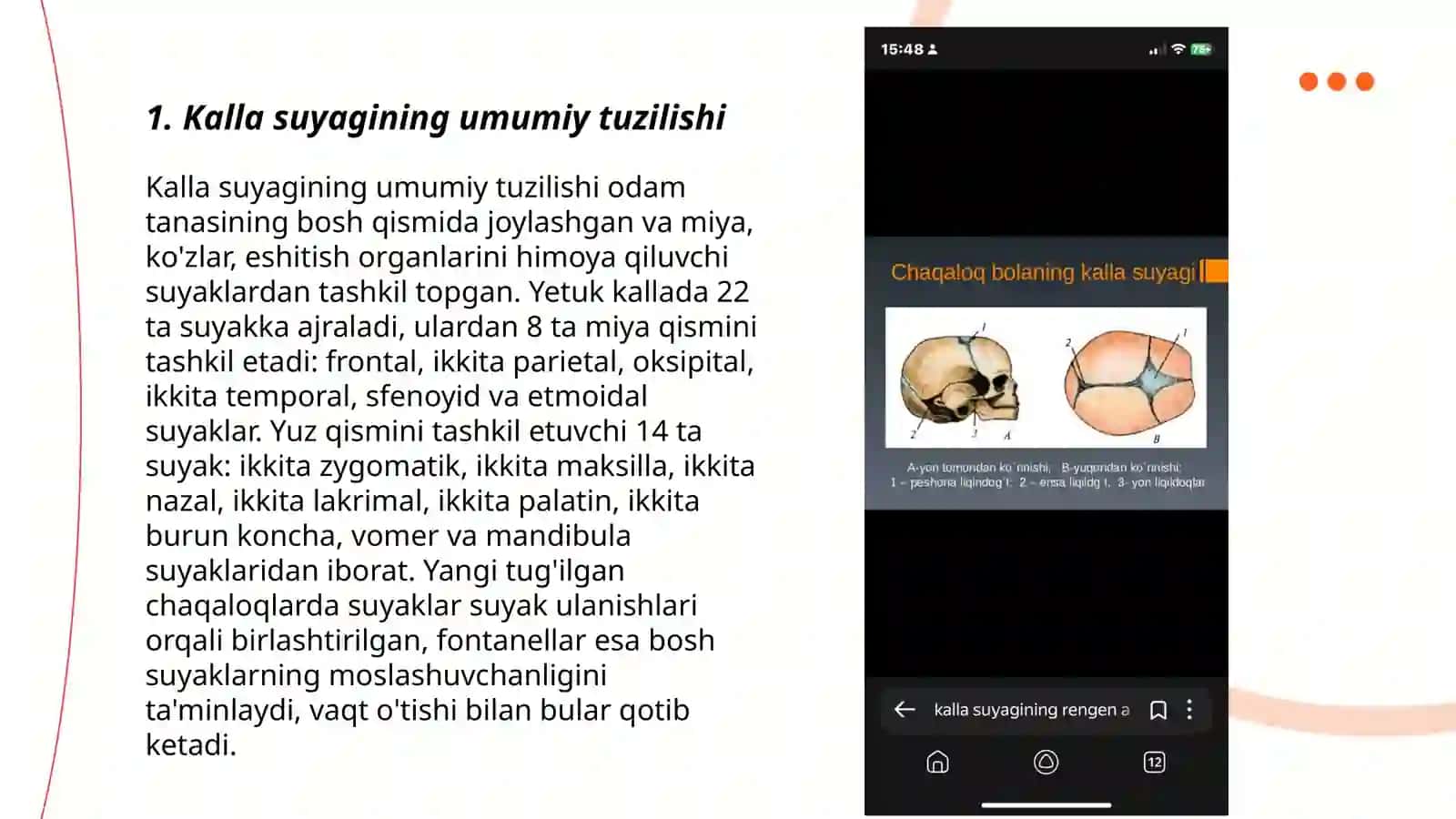 Kalla suyagining rengen anatomiyasi 3