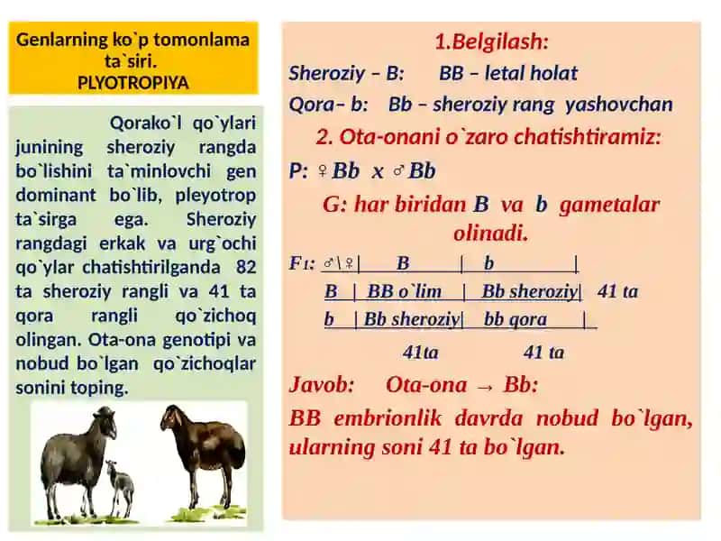 NOALLEL GENLARNING PLEYOTROP TA`SIRI 3