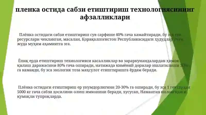 Plyonka ostida sabzi yetishtirish texnologiyasi 3