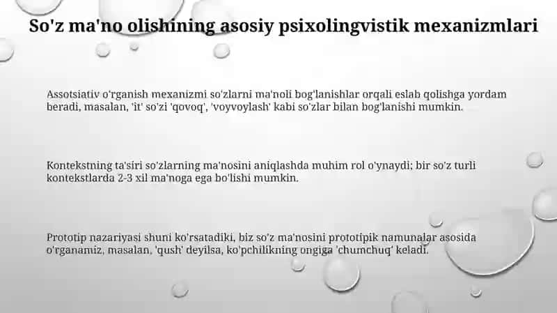 SO‘Z MA’NOSINI O‘ZLASHTIRISHNING PSIXOLINGVISTIKASOSLAR 3