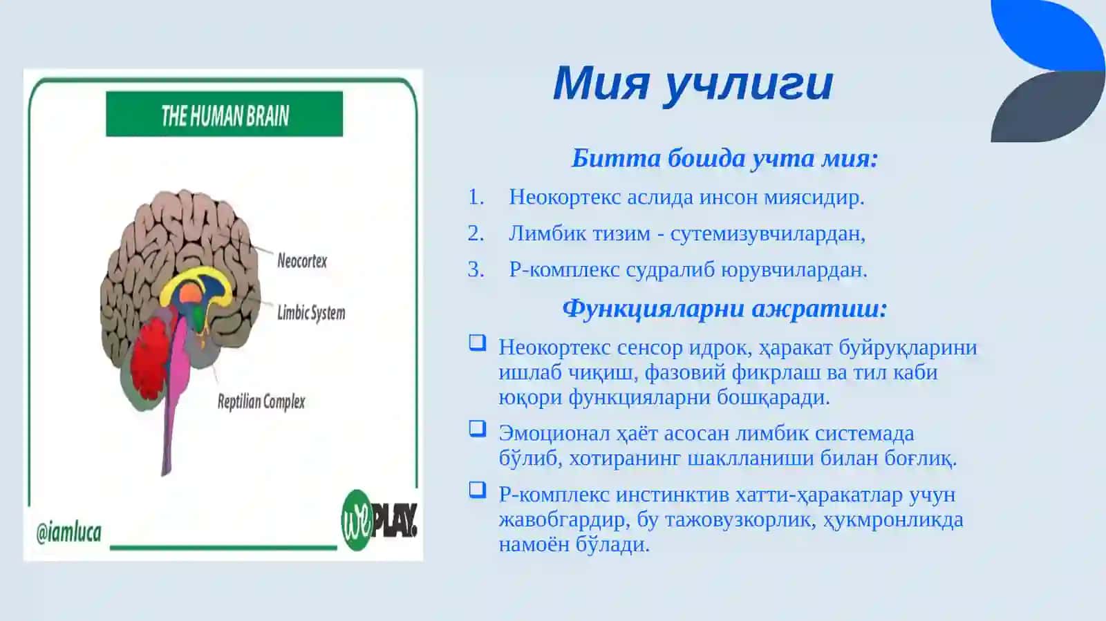 Xulq-atvor moliyasi: keng tarqalgan noto‘g‘ri qarashlar va xatolar 3
