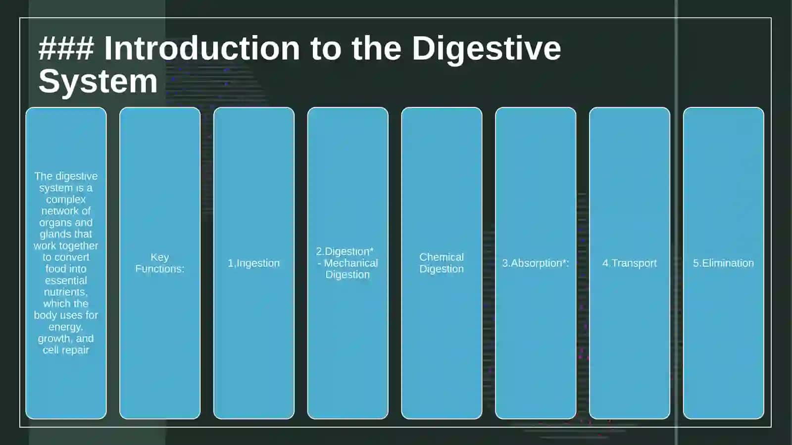 Introduction to the Digestive System 3