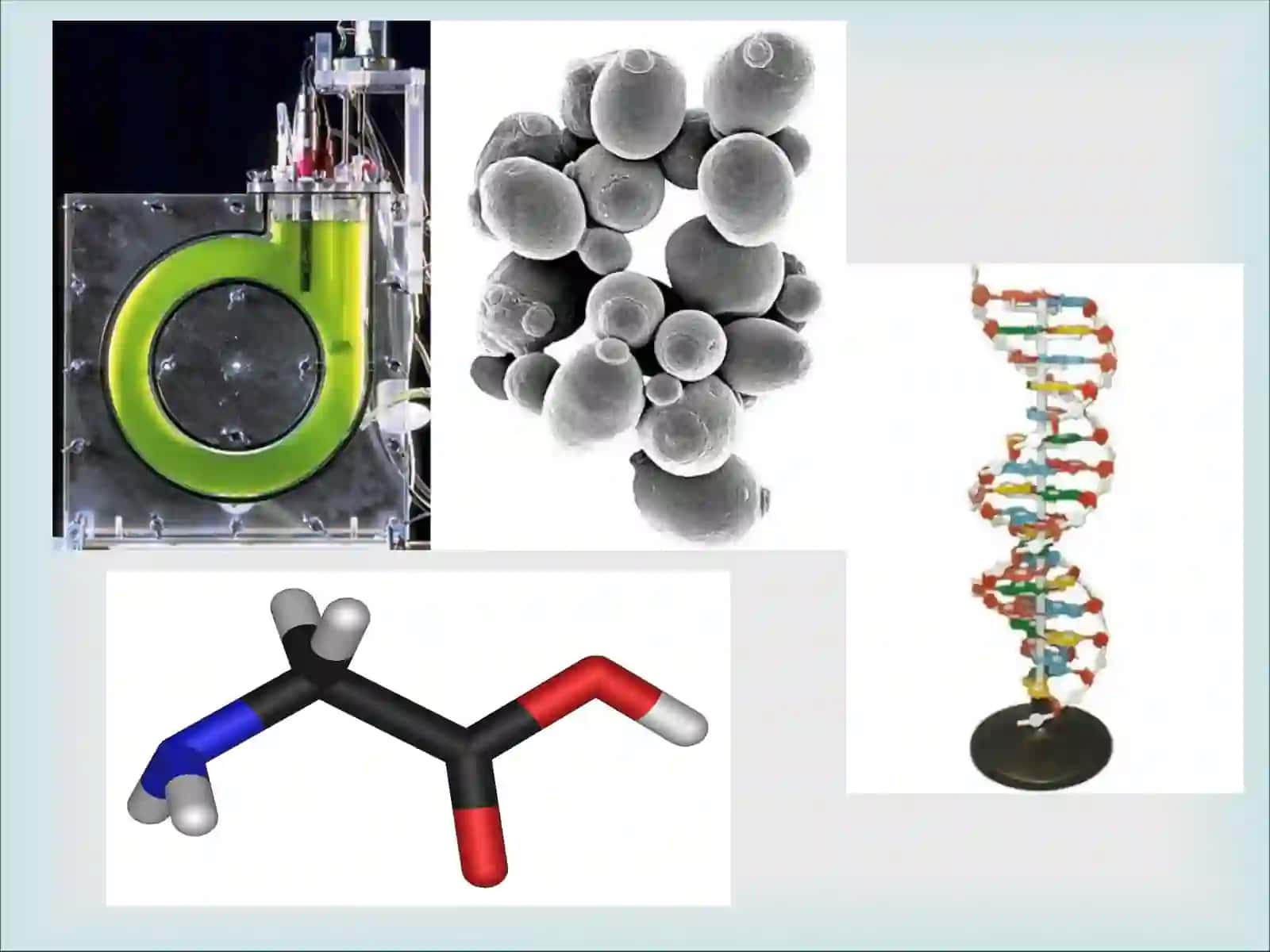 Genetika 3