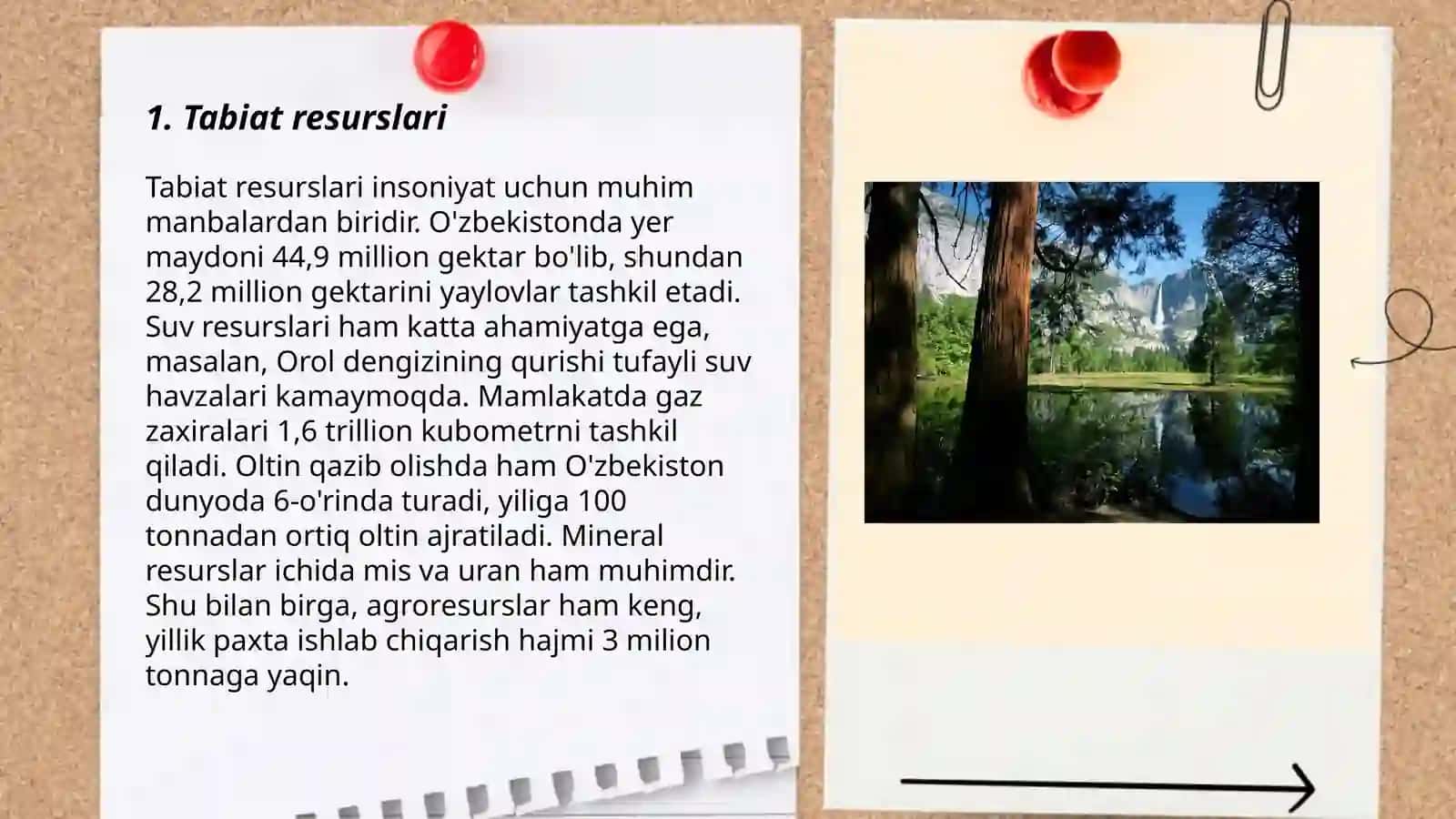 Tabiat haqida tushuncha 3