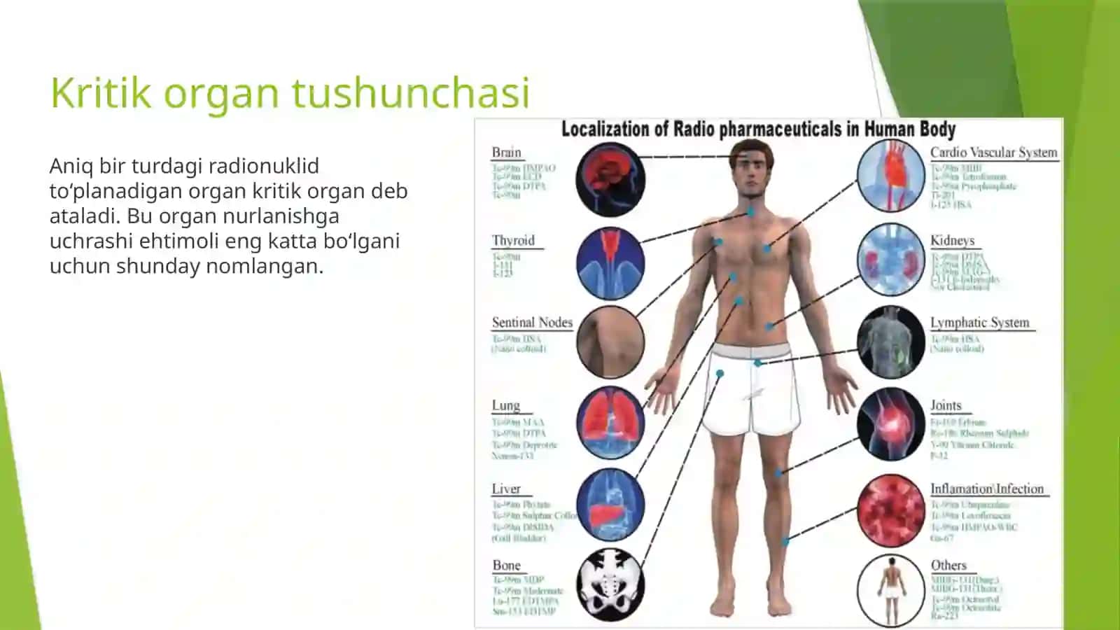 Radionuklidlarning organizmda kinetikasi | Fizika prezentatsiya PPT 3