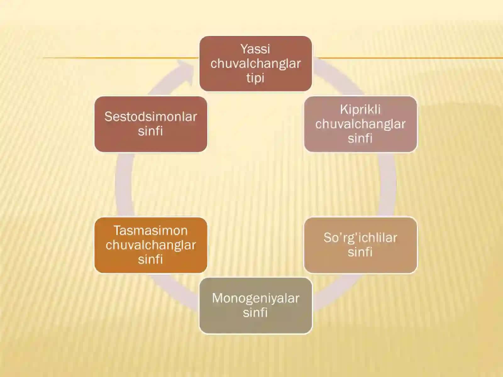YASSI CHUVALCHANGLAR (PLATHELMINTHES)TIPI 3