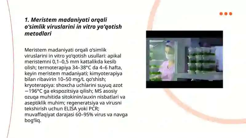 Oʻsimlik viruslarini in vitro yoʻqotish texnologiyasi 3
