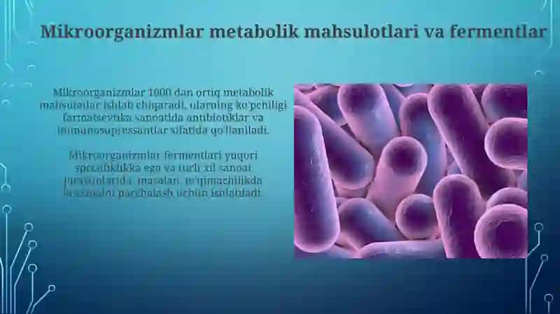 Mikroorganizmlarnin hayot faoliyatida ishlab chiqaradigan mahsulotlari 3