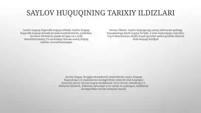 Saylov Huquqi Fuqorolarining Siyosiy Huquqi Sifatida 3