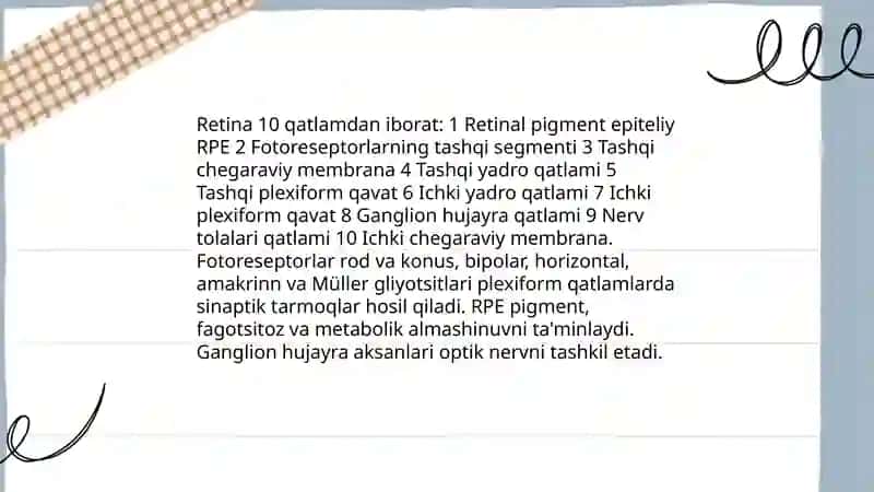 Fotoresepsiyaning morfologik asoslari 3