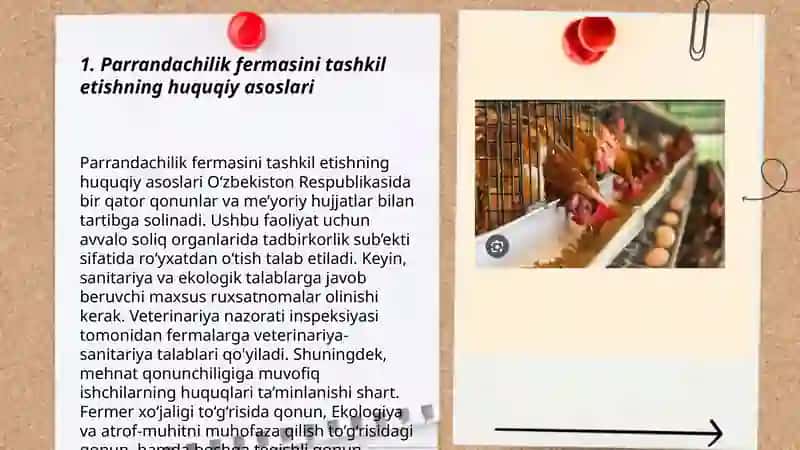 Parrandachilik faoliyatlarini tashkil etish parrandachilik sohasida 3