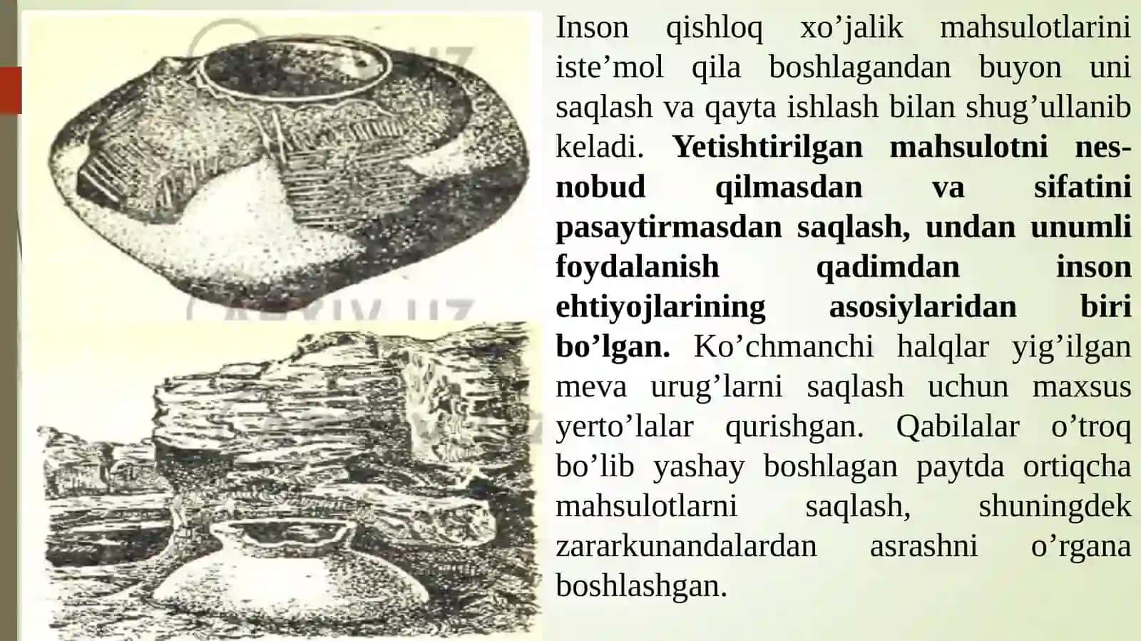 Qishlok xo’jalik mahsulotlarini saqlash va dastlabki ishlov berish 3