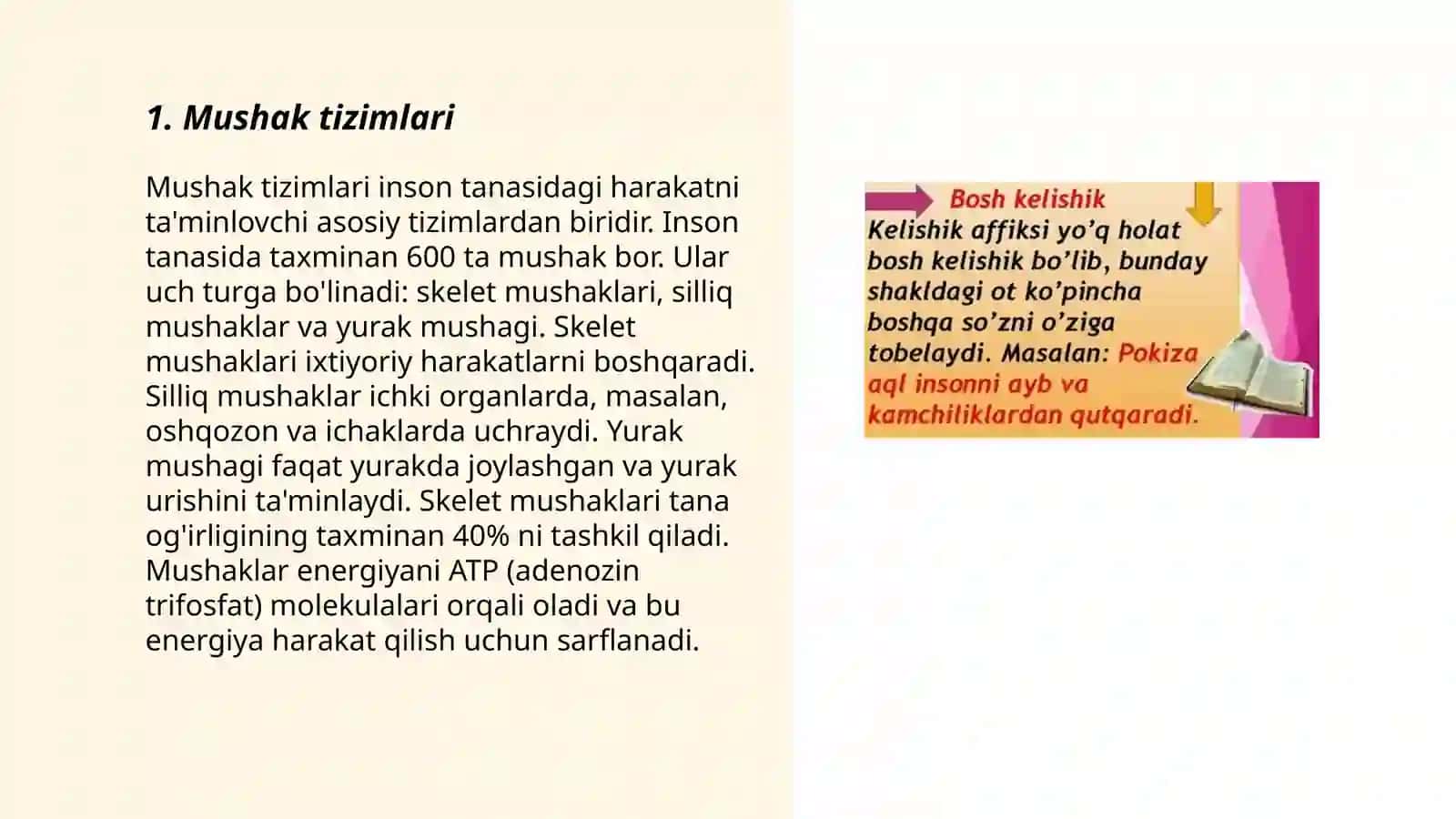 Bosh kelishik ko’plikda murakkab anatomik terminlar 3
