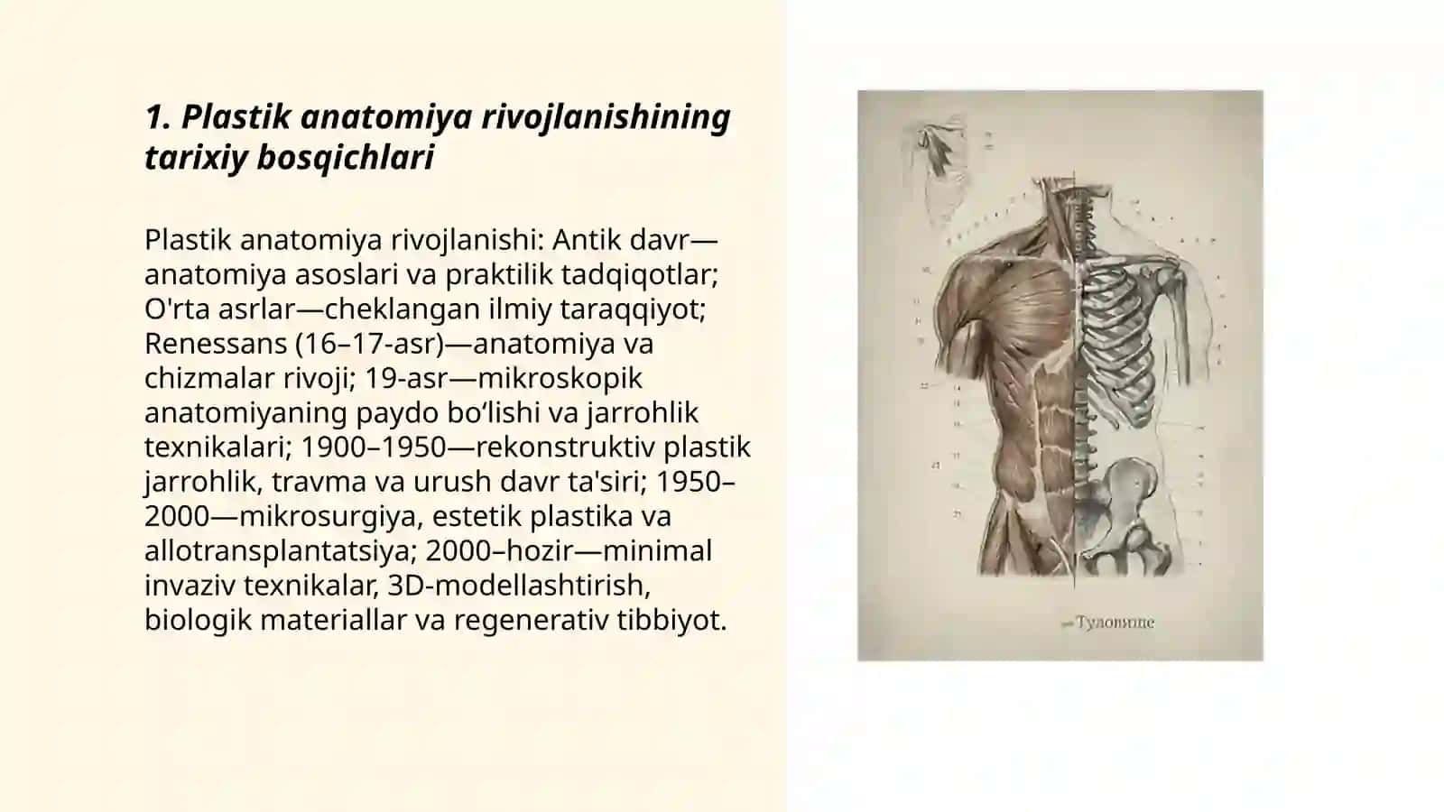 Plastik anatomiya rivojlanishining asosiy bosqichlari 3