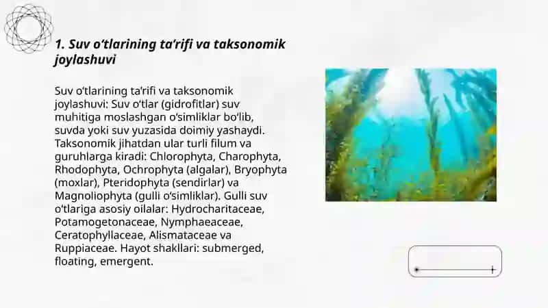 Suvo'tlari: tuzilishi, sistimatikasi va ahamiyati 3