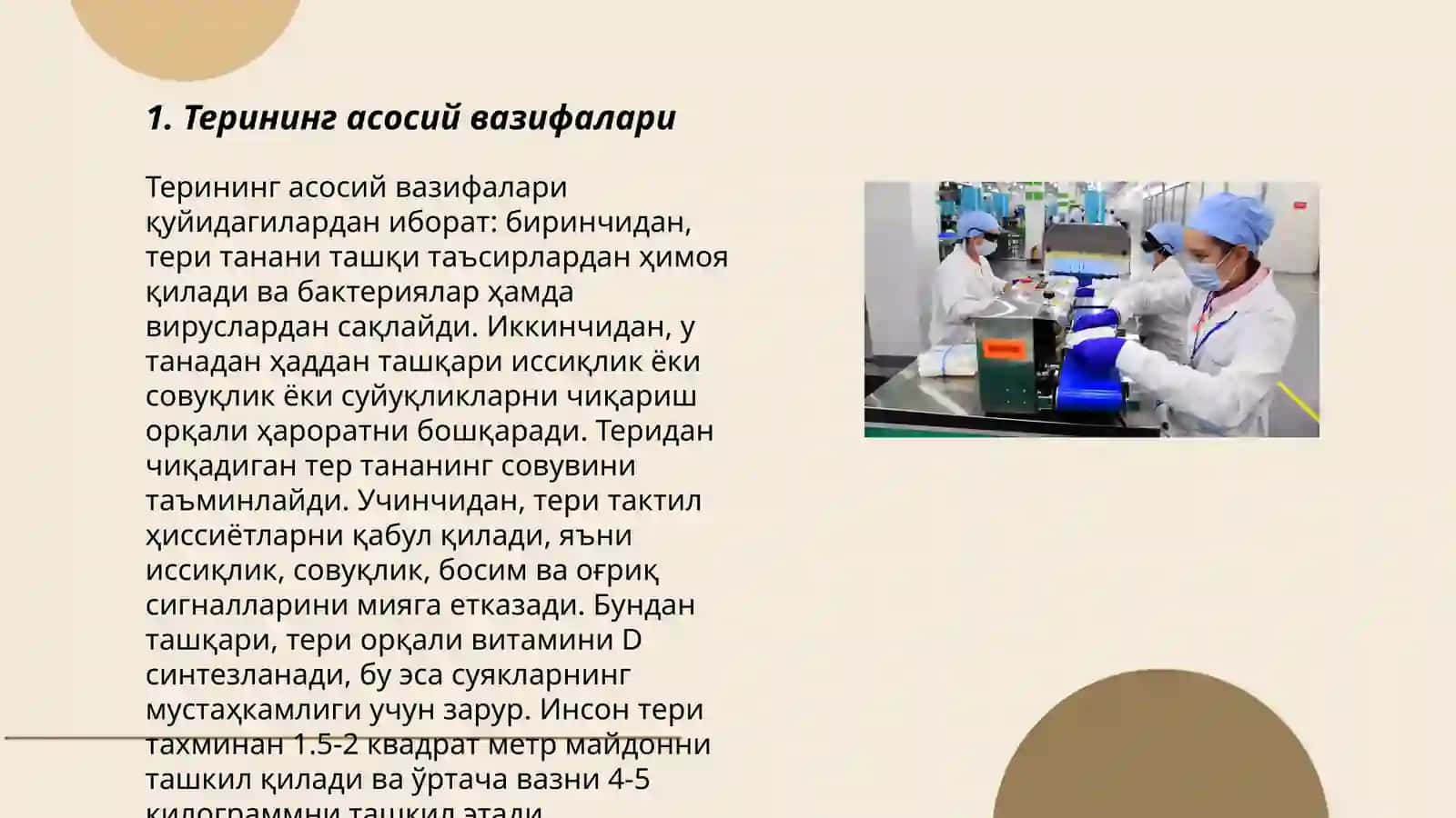 Терининг асосий вазифалари 3