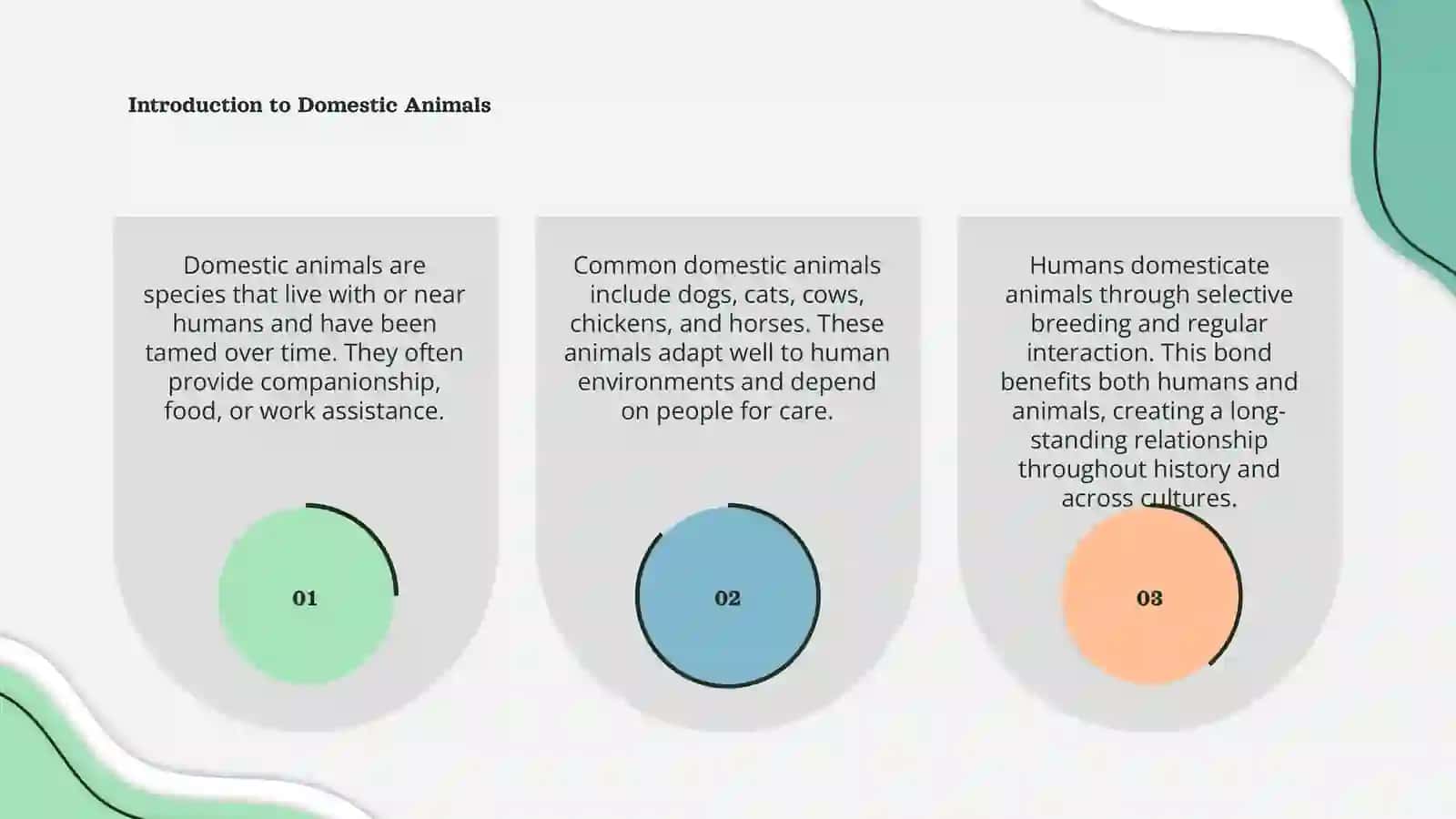 Introduction to Domestic Animals 3