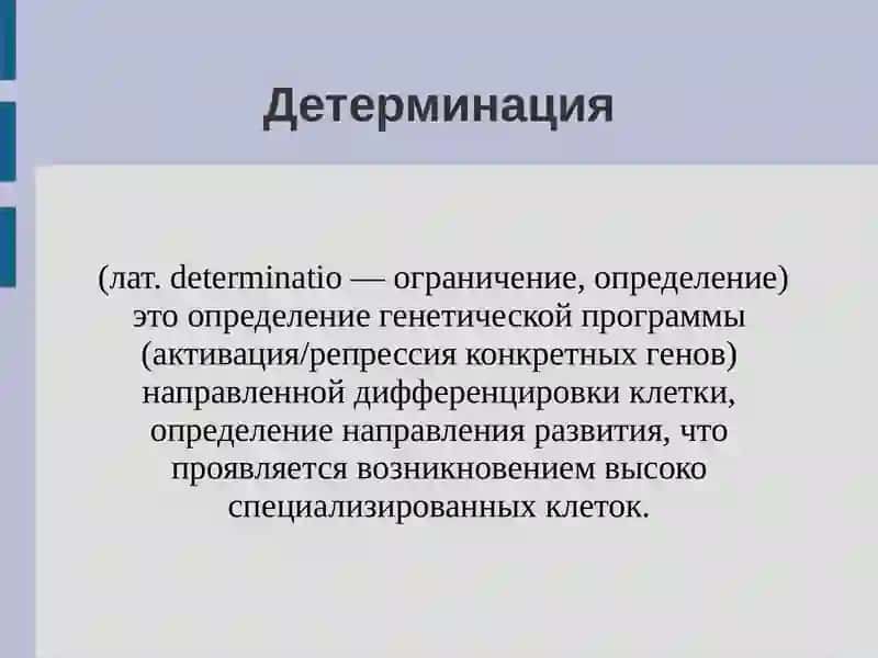 ДЕТЕРМИНАЦИЯ ЦИТОЛЕФФЕРЕНЦИРОВКА И МОРФОГЕНЕЗ 3