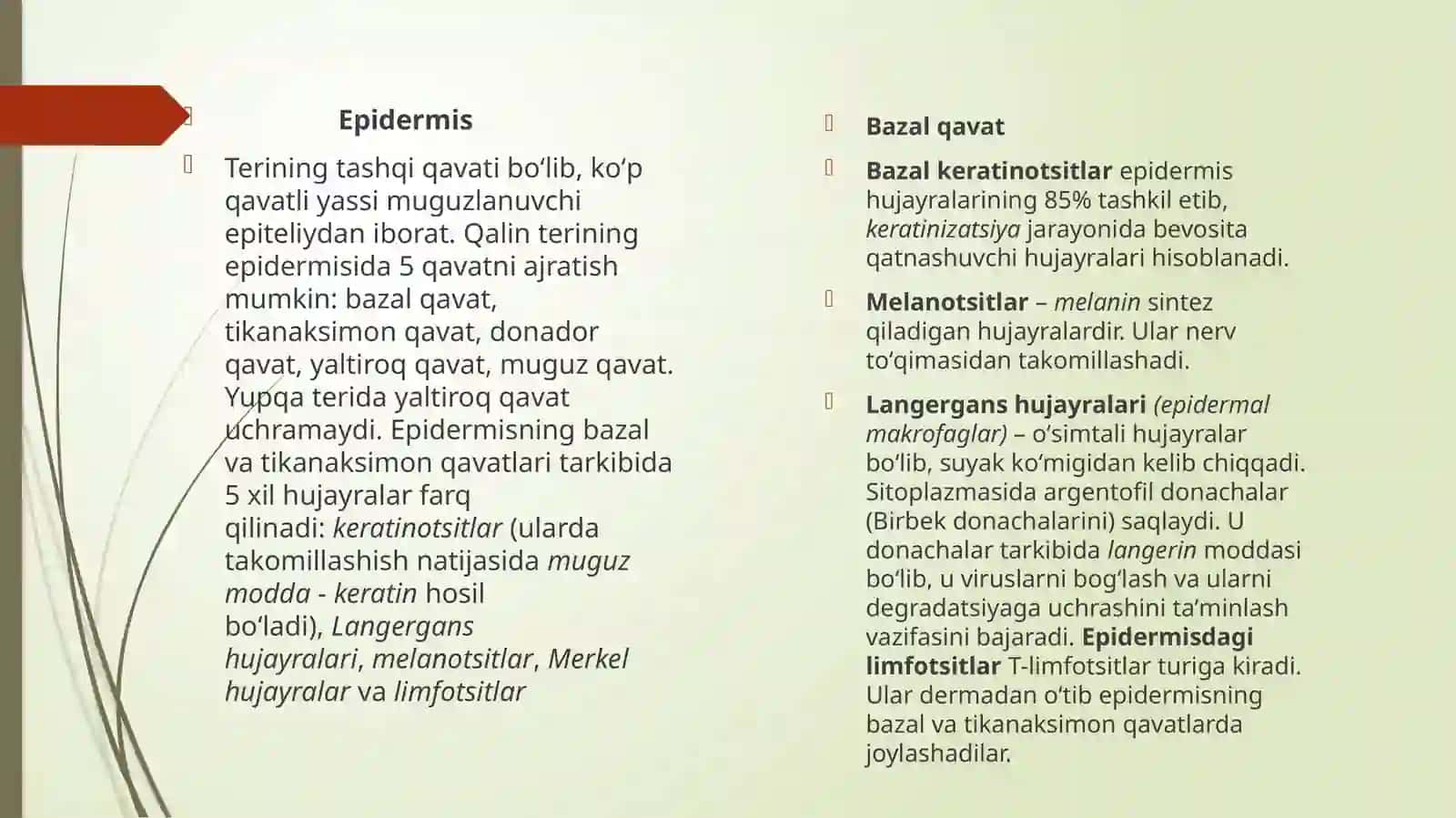 Terining umumiy patomorfologiyasi. Bolalar terisining o‘ziga xos xususiyatlari 3