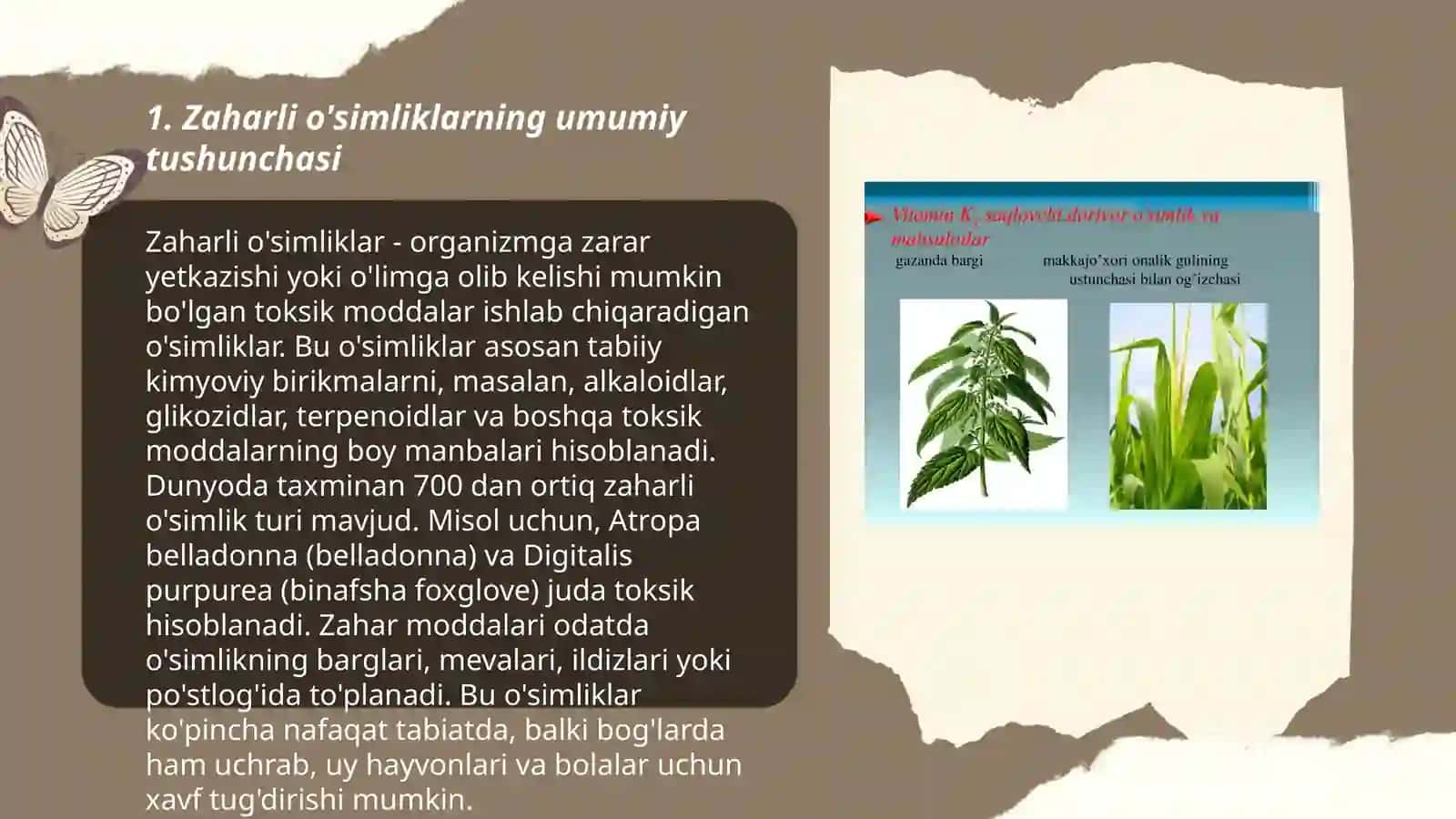 Zaharli o'simliklar tasnifi 3