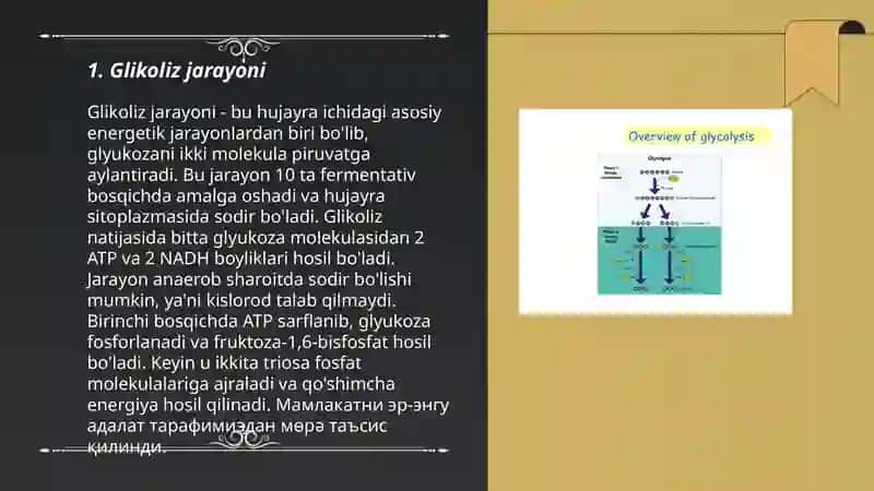 Glikoliz va uning boshqarilishi 3