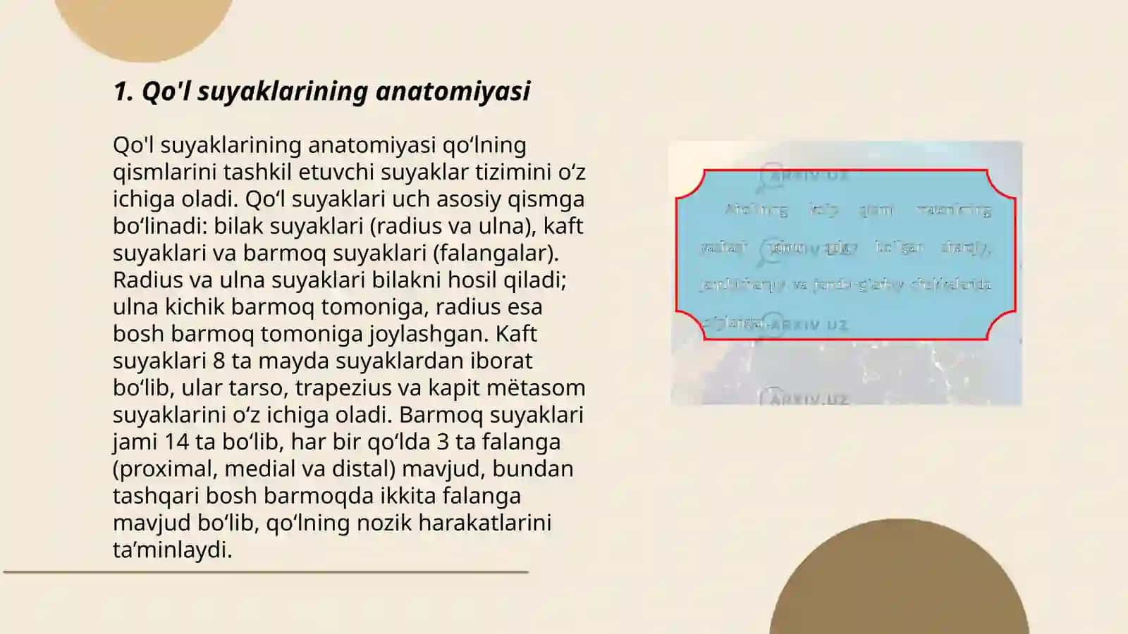 Qo'l suyaklarining variantli anatomiyasi rivojlanish nuqsonlari 3