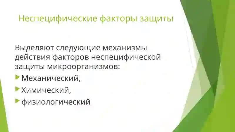 ЗАЩИТНЫЕ МЕХАНИЗМЫ ПОЛОСТИ РТА 3