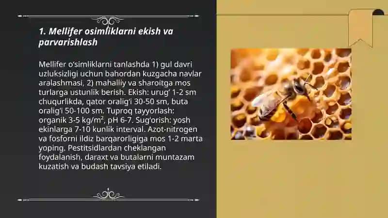 Asalarilarning ozuqa bazasini kengaytirish 3