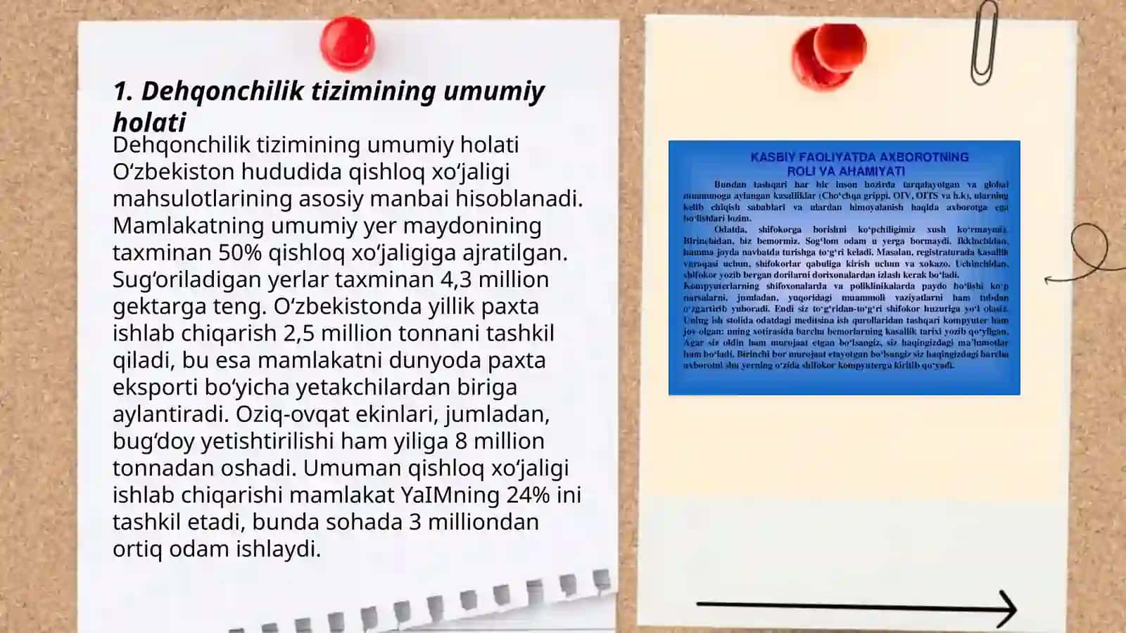 Respublikamiz dehqonchilik tizimining hozirgi holati,muammolari va hal qilish yo'llari 3