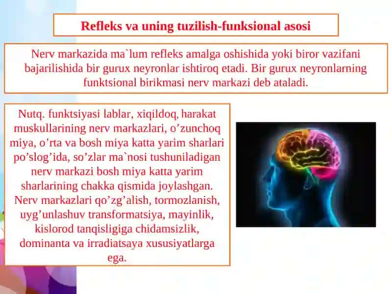 Refleks va uning turlari 3