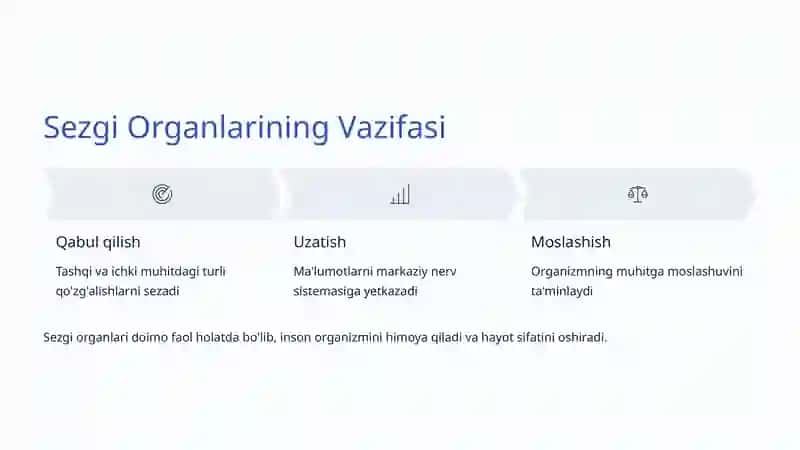 Sezgi Organlari: Inson Dunyo Bilan Aloqasi 3