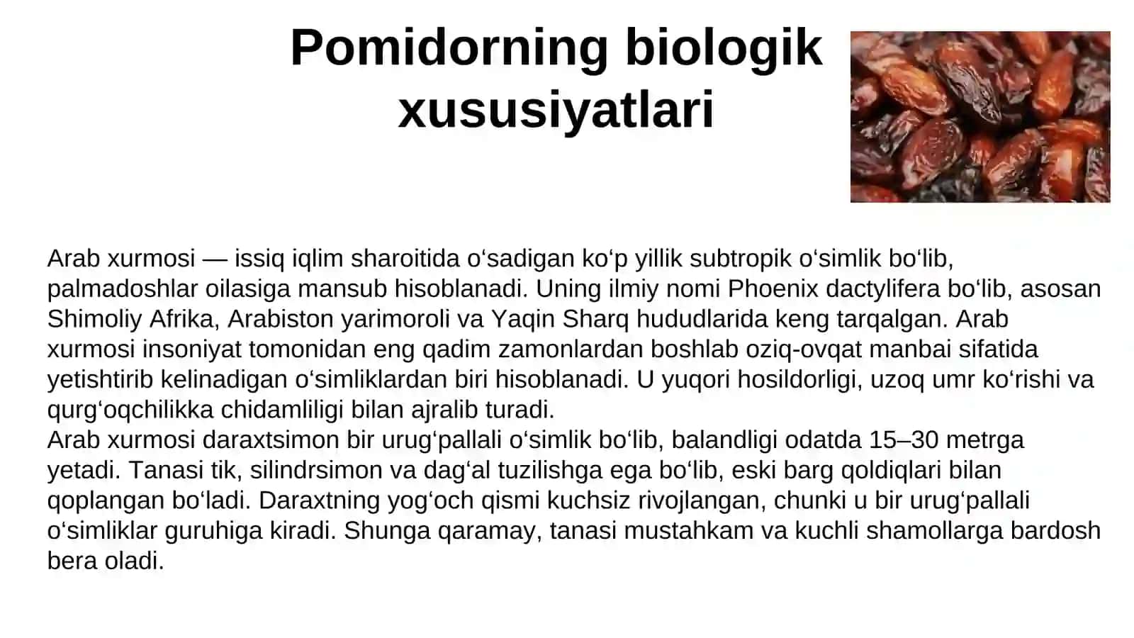 Arab xurmosini quritish texnalogiyasi 3
