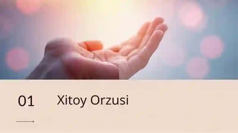 Xitoy Orzusi 3