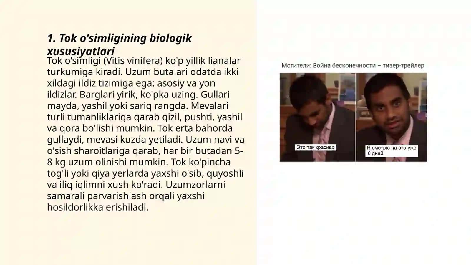 Tok õsimligini yarim himoyalangan yerlarda yetishtirish 3