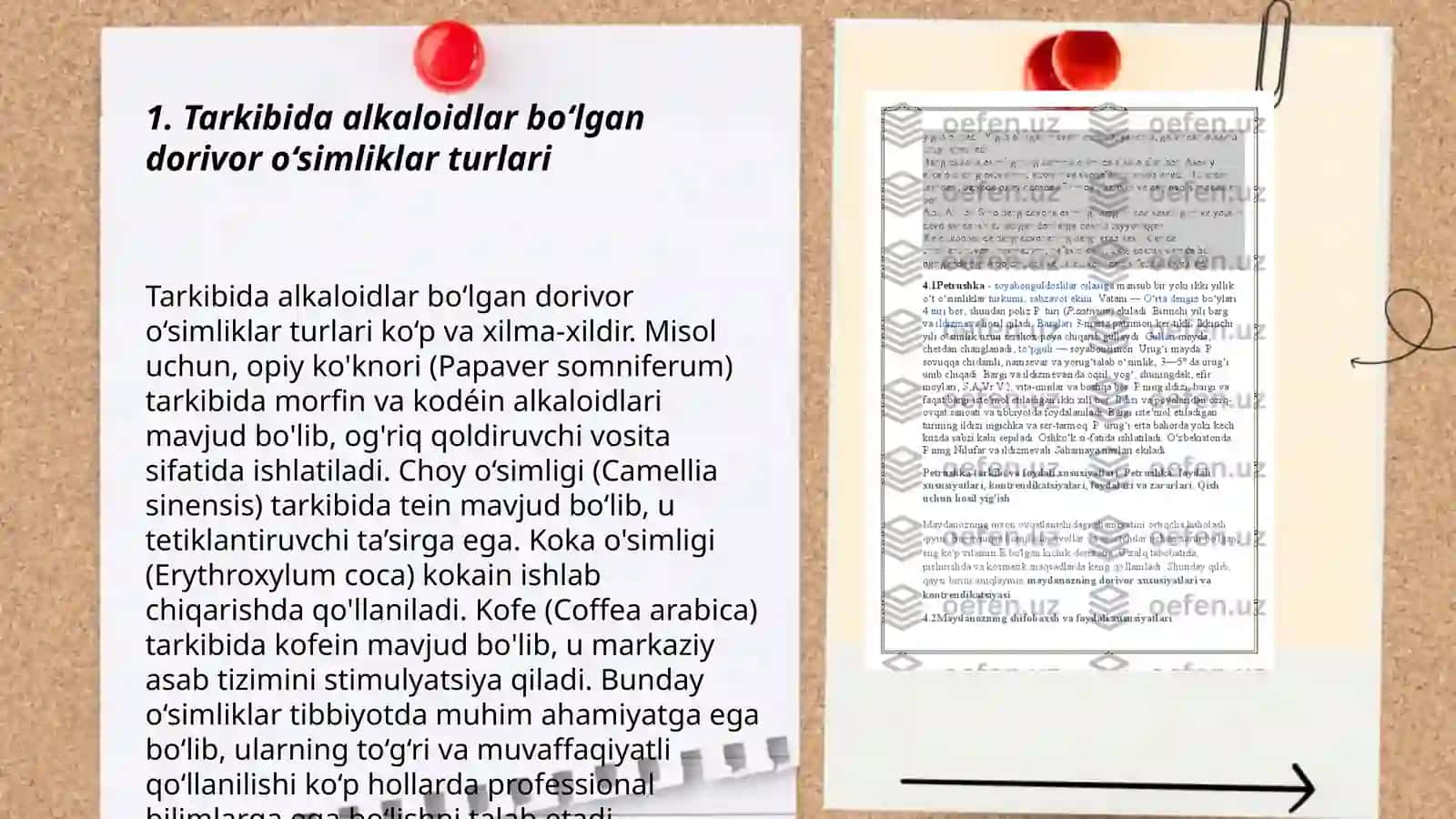 Dorivor o‘simliklar alkaloidlari 3